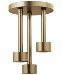 Buy 👍 Brizo Litze® Single Function H2Okinetic® Spray Showerhead in Luxe Gold 🌟