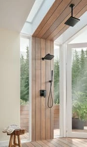 Best Pirce 🧨 Brizo Vettis® Multi Function Hand Shower in Matte Black 👍 4 Best Pirce 🧨 Brizo Vettis® Multi Function Hand Shower in Matte Black 👍 - Image 2