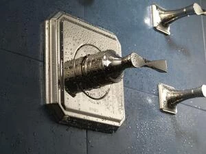 Deals 🧨 Brizo Virage® Volume Control Trim with Single Lever Handle in Brilliance Polished Nickel 🛒 4 Deals 🧨 Brizo Virage® Volume Control Trim with Single Lever Handle in Brilliance Polished Nickel 🛒 - Image 2