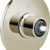 Coupon ❤️ Brizo Litze® 3-Setting Diverter Valve Trim in Brilliance Polished Nickel 😉 -Outlet Brizo Store Query 1620