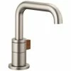 Coupon 🌟 Brizo Litze® Single Handle Bathroom Sink Faucet in Luxe Nickel with Teak Wood 🎉 -Outlet Brizo Store Query 197