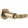 Outlet 🧨 Brizo Litze Volume Control Trim with Industrial Single Lever Handle in Luxe Gold ⭐ 1 Outlet 🧨 Brizo Litze Volume Control Trim with Industrial Single Lever Handle in Luxe Gold ⭐ -Outlet Brizo Store Query 2211