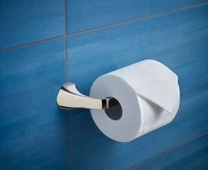 Best Pirce ⌛ Brizo Sotria™ Wall Mount Toilet Tissue Holder in Matte Black ✔️ 4 Best Pirce ⌛ Brizo Sotria™ Wall Mount Toilet Tissue Holder in Matte Black ✔️ - Image 2