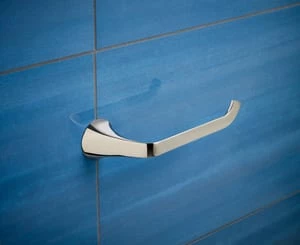 Cheapest ✨ Brizo Sotria™ Wall Mount Toilet Tissue Holder in Polished Nickel 👏 4 Cheapest ✨ Brizo Sotria™ Wall Mount Toilet Tissue Holder in Polished Nickel 👏 - Image 2