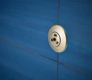 Best Sale ✨ Brizo 1.5 gpm Massaging Body Spray Sprayhead in Brilliance Brushed Nickel 🛒 6 Best Sale ✨ Brizo 1.5 gpm Massaging Body Spray Sprayhead in Brilliance Brushed Nickel 🛒 - Image 4