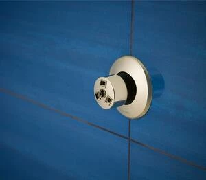 Best Sale ✨ Brizo 1.5 gpm Massaging Body Spray Sprayhead in Brilliance Brushed Nickel 🛒 8 Best Sale ✨ Brizo 1.5 gpm Massaging Body Spray Sprayhead in Brilliance Brushed Nickel 🛒 - Image 6