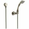 New 🧨 Brizo Charlotte® Single Function Hand Shower in Polished Nickel ✨ -Outlet Brizo Store Query 2371