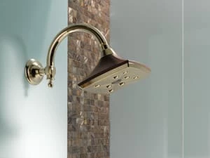 Deals 🤩 Brizo Charlotte® Single Function H2Okinetic® Showerhead in Cocoa Bronze with Polished Nickel 👍 4 Deals 🤩 Brizo Charlotte® Single Function H2Okinetic® Showerhead in Cocoa Bronze with Polished Nickel 👍 - Image 2