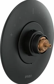 Brand new 🔥 Brizo Odin® Thermostatic Valve Trim in Matte Black 🛒