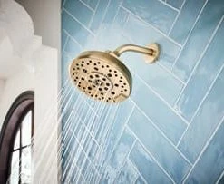 Buy 🔥 Brizo Levoir® Multi Function H2Okinetic Technology® Full Body, Full Spray, Massage and Pause Showerhead in Luxe Gold ⭐ -Outlet Brizo Store Query 281