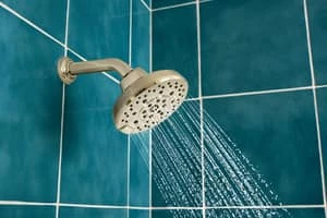 Cheap 👍 Brizo Levoir® Multi Function H2Okinetic Technology® Full Body, Full Spray, Massage and Pause Showerhead in Polished Nickel 🤩 7 Cheap 👍 Brizo Levoir® Multi Function H2Okinetic Technology® Full Body, Full Spray, Massage and Pause Showerhead in Polished Nickel 🤩 - Image 5