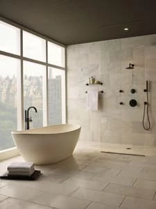 Coupon 🎁 Brizo Odin® Single Handle Single Function Shower Faucet in Brushed Nickel (Trim Only) 🔥 4 Coupon 🎁 Brizo Odin® Single Handle Single Function Shower Faucet in Brushed Nickel (Trim Only) 🔥 - Image 2