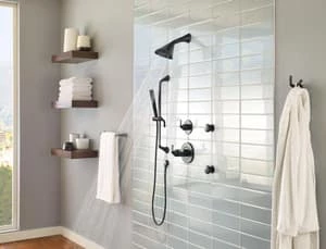 Coupon 🛒 Brizo Single Function Body Spray in Matte Black ✨ 3 Coupon 🛒 Brizo Single Function Body Spray in Matte Black ✨ - Image 2