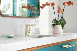 New 🌟 Brizo Levoir® Single Handle Centerset Bathroom Sink Faucet in Polished Nickel 🎁 6 New 🌟 Brizo Levoir® Single Handle Centerset Bathroom Sink Faucet in Polished Nickel 🎁 - Image 4