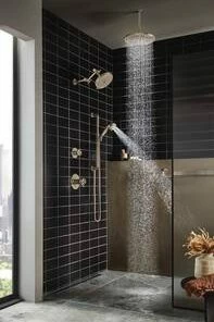 Brand new 🥰 Brizo Litze® 2 gpm Thermostatic Valve Trim in Brilliance Polished Nickel (Less Handle) 🛒 -Outlet Brizo Store Query 904