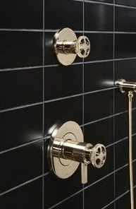 Brand new 🥰 Brizo Litze® 2 gpm Thermostatic Valve Trim in Brilliance Polished Nickel (Less Handle) 🛒 -Outlet Brizo Store Query 905